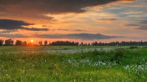 Прекрасная, светлая, ясная...