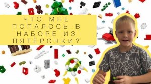собераю зверя из пятёрочки