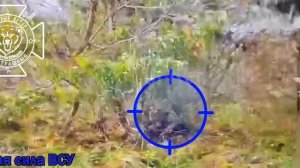 Расчеты FPV 810 обрмп группировки "Север" сокращают личный состав ВСУ