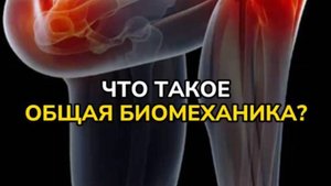 НА ЧЕМ СТРОИТСЯ ПРОЦЕСС РЕАБИЛИТАЦИИ? ЧТО ТАКОЕ ОБЩАЯ БИОМЕХАНИКА?