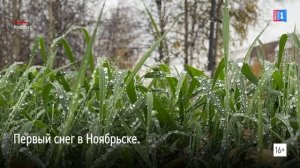 В Ноябрьске падает первый снег
