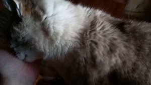 25 сентября 2025. Сентябрьские моменты.