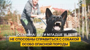 Останина: дети младше 16 лет не способны справиться с собакой особо опасной породы