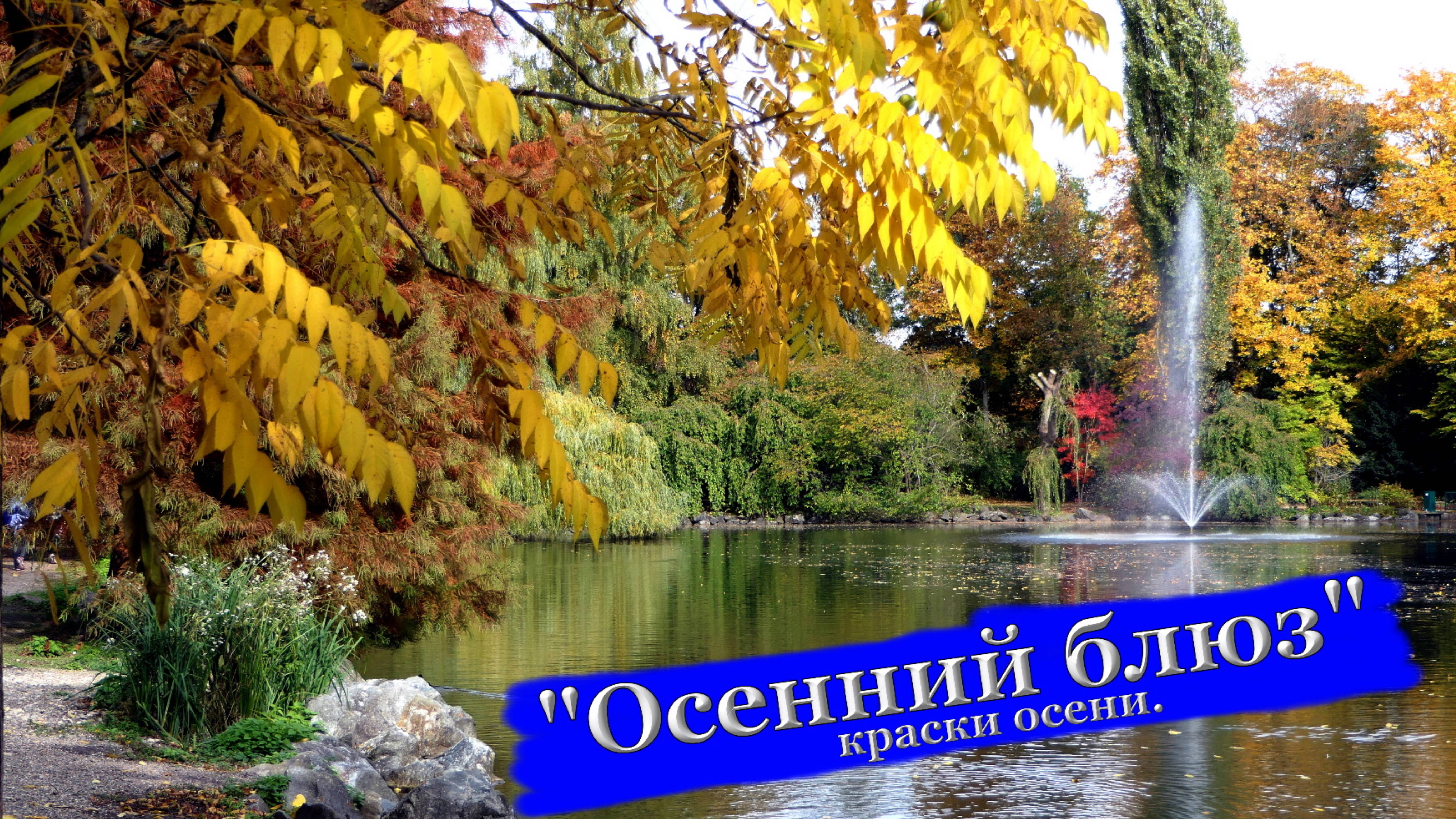 🎷(Saxophon)🎷 Золотая "ОСЕНЬ"🍁🍂 в нашем городе "ОСЕННИЙ ЛИСТОПАД" 🌺🦋🌺 прогулка в парке.