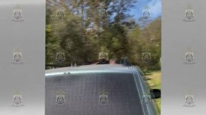 Сотрудники Госавтоинспекции отстранили от управления автомобилем новгородца