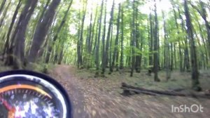 Покатухи на Яве 638