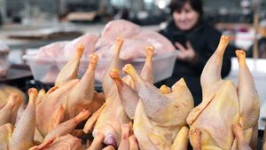 Цена на оптовые закупки тушек цыплят-бройлеров выросла на 34%