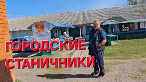780 Жизнь в станице. Целый день в делах. Тесто для вареников.Икра из баклажан.