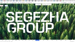 Обзор акции СЕГЕЖА.