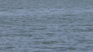 Рыбалка -16. Лето 2025 Усть - Абакан