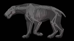 Воссоздание прошлого мира