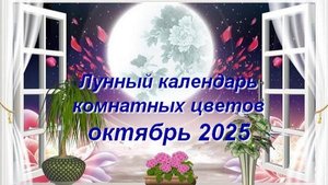 Лунный календарь комнатных растений и цветов на октябрь 2025 года