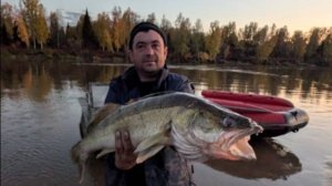 Огромные Чулымские Судаки 2025