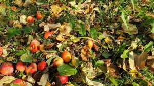 Вкуснотень!