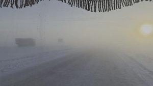 Красивый расцвет сквозь туман