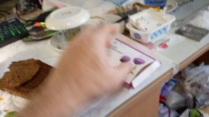 Доброе утро! Калининград! 25 сентября 2025 года