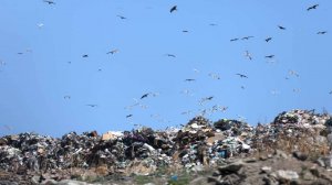 Двухлетнюю девочку нашли на свалке в Кызыле