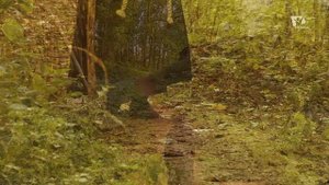 Ученый монах #2 I Вестник свободы и благодати