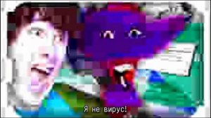 кинито пет, нинтер: друг на всегда!