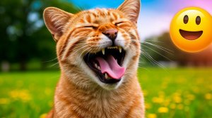 СМЕШНЫЕ МОМЕНТЫ С ЖИВОТНЫМИ И ЛЮДЬМИ ДО СЛЁЗ😂//Дикий смех: звери и люди без тормозов! 😂 #58