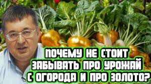 Андрей Верников про недоверие к рублю и про пользу личных запасов