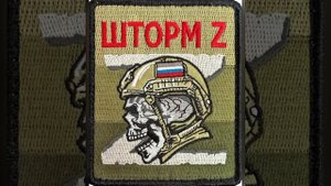 Матвей Мугир-Строевая (ШТОРМ Z) СВО