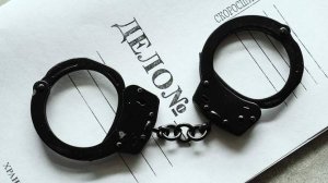 МВД РФ привлекло к ответственности более 100 человек за реабилитацию нацизма