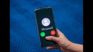 Винегрет из мошенников