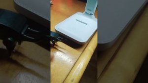 зверятыши показываю свою коллекцию