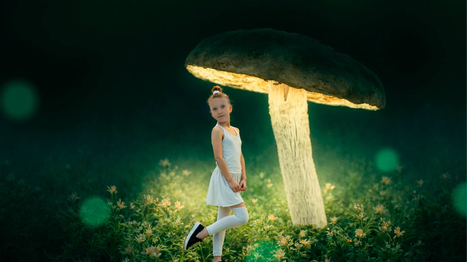 В ПОИСКАХ ВОЛШЕБНЫХ ГРИБОВ!