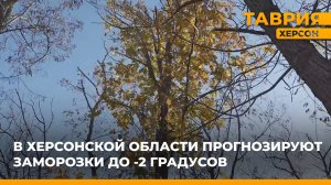 В Херсонской области прогнозируют заморозки до -2 градусов