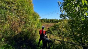 Crazy bike ride II... или Игорь снова вписался куда-то...