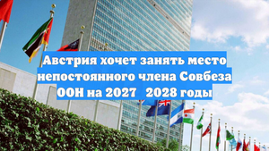 Австрия хочет занять место непостоянного члена Совбеза ООН на 2027‑2028 годы
