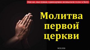 Молитва церкви ♥️ Проповедь МСЦ ЕХБ