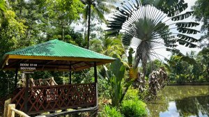 Отель Sepilok Jungle Resort