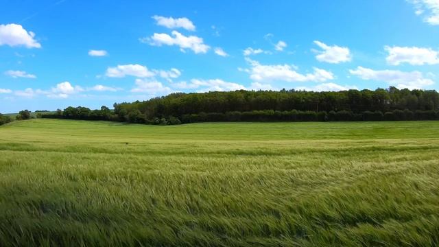 Красивое чтение Корана عبدالله الموسي