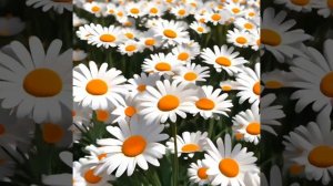 Первая любовь