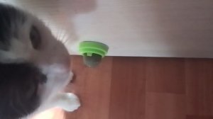 VID_20250921_110110.mp4