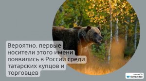 Фамилия Аликова: исследование происхождения и значения, правильное склонение и хроники ее истории
