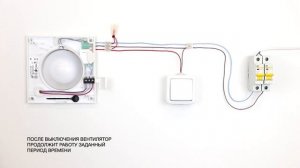 Подключение и настройка вентилятора для ванной Silent CRZ с таймером