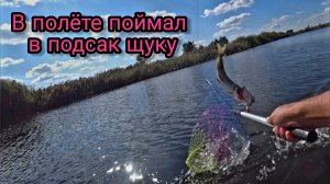 Щуку жина упустила а я доловил.