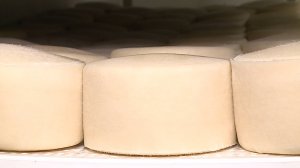 Козий молочный комплекс в Шпаковском округе