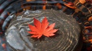 Желаю Доброго ДНЯ! ОЧЕНЬ КРАСИВАЯ МУЗЫКАЛЬНАЯ ВИДЕО ОТКРЫТКА