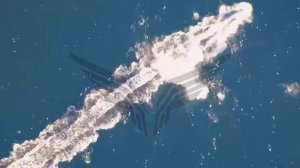 Акватория Черного моря
Утром 24 сентября