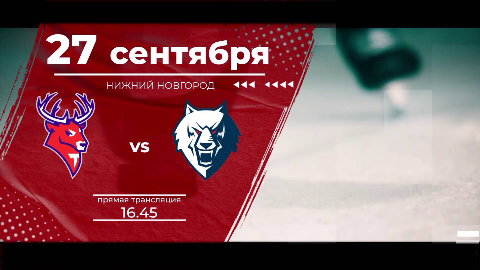 Матч КХЛ "Торпедо" - "Нефтехимик": следите за игрой на телеканале "Нижний Новгород 24" и на "Маяке"