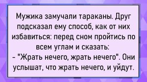 Как баба в деревне бизнес открыла! Сборник свежих анекдотов! Юмор