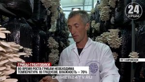 Предприятие Крыма выиграло грант на развитие семейной грибной фермы