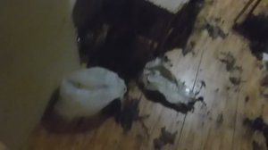 Отмечание дня рождение усобшего,такие вот последствие