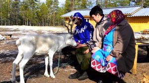 Проживающим на стойбищах югорчанам выплатят пособие при рождении ребёнка