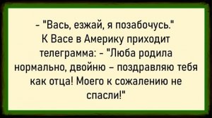 Как тёща на соседа заявление написала! Сборник свежих анекдотов! Юмор